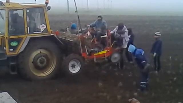 Mechanized lavender seedling planting - Comana, Constanta, Romania смотреть онлайн