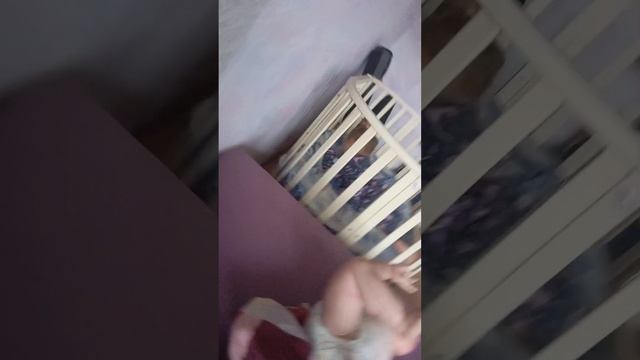 влог с пятницы на субботу🧸 смотреть онлайн