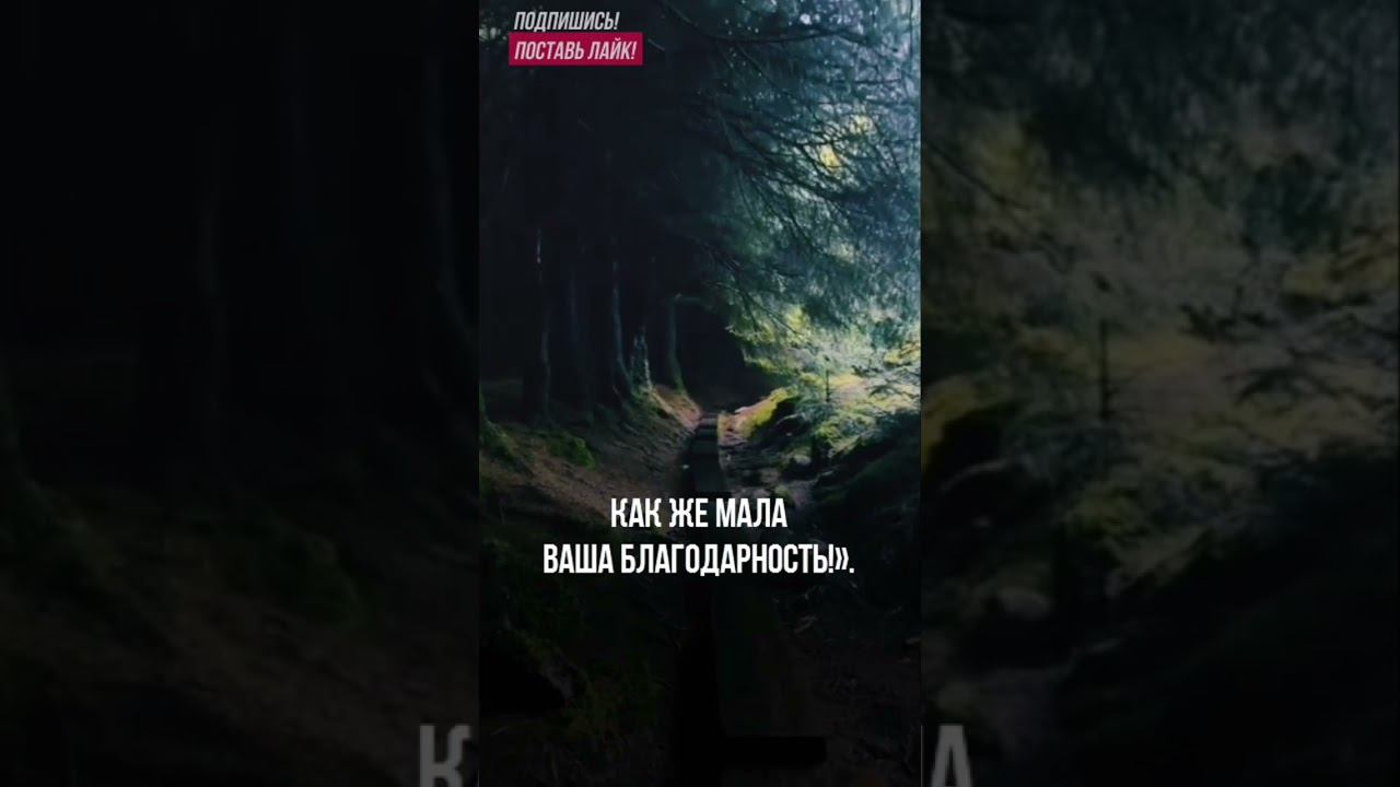 Сура Мульк 23-24 аят #quran смотреть онлайн