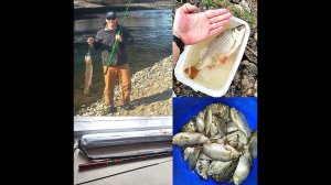 Маховая удочка (от Goture) телескопическая с Алиэкспресс (3.0м - 7.2 м  )