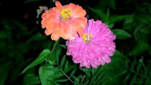 Клятва врача 1 - 16 серии | Мелодрама 2021 | Анонс и Дата выхода