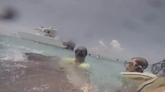 Holding Stingrays in Belize 2014 Cruise смотреть онлайн