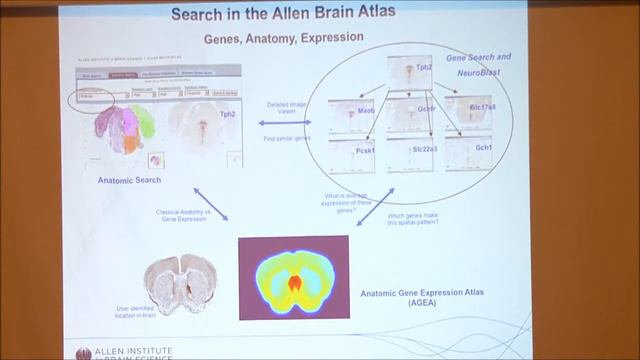 Michael Mawrylycz - The Allen Institute for Brain Science смотреть онлайн