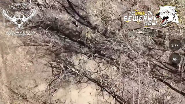 СВО 18+ В занятых окопах 58-й брЫгады ВСУчек в районе речки Кашлагач смотреть онлайн