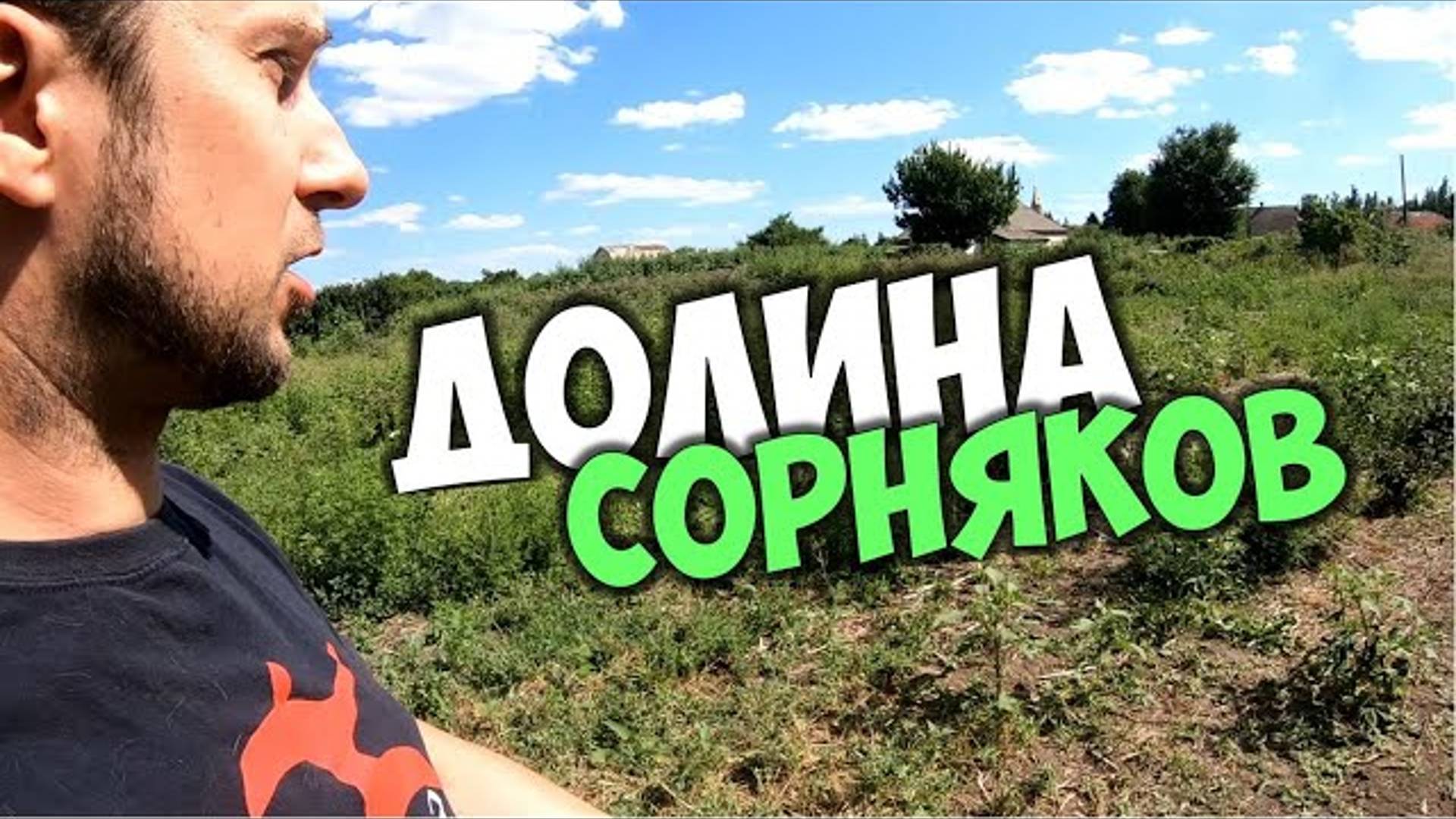 Заброшенный огород в деревне, почему огород зарос сорняками? Заброшенные дома и огороды в селе смотреть онлайн