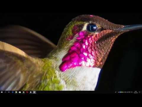 Picasa очень быстрая програма для просмотра фотографий на компьютере смотреть онлайн