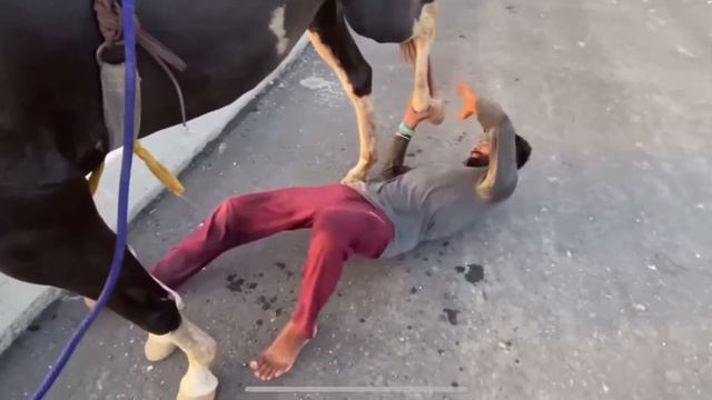 2023 ki Last video😢🥺 смотреть онлайн