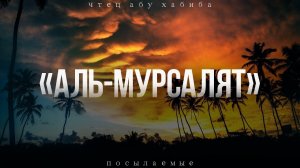 Сура 77 «Аль-Мурсалят» Абу Хабиба