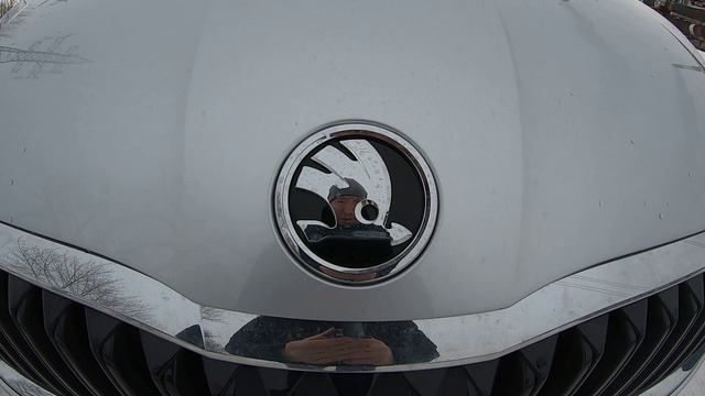 2021 ŠKODA OCTAVIA! ТРЕНДОВЫЙ И ВЫСОКОТЕХНОЛОГИЧНЫЙ! ТЕСТ-ДРАЙВ.