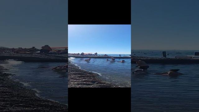 Обстановка на море 28 сентября 2024 смотреть онлайн