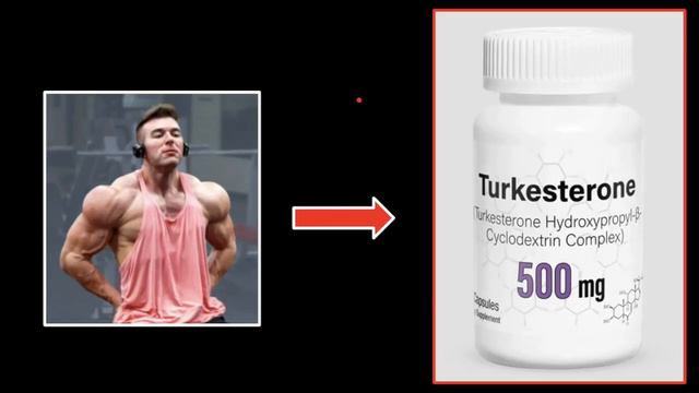 TURKESTERONE - SHOULD YOU BUY IT FROM MOREPLATESMOREDATES 🦍💉🧬TESTOSTERONE THURSDAY💉🧬🦍