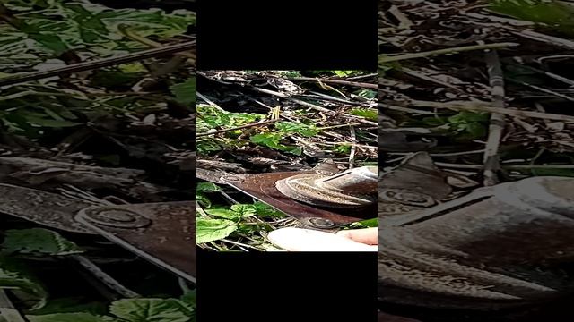 VID_20240925_112639 Покос бурьяна. смотреть онлайн