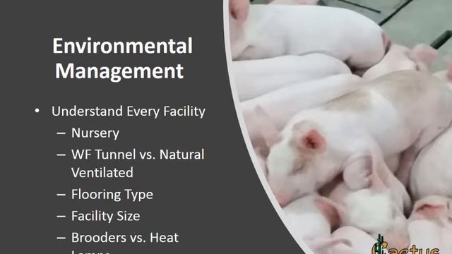 Keys to a successful wean pig transition - Matt Grimm - Iowa Swine Day 2019 смотреть онлайн