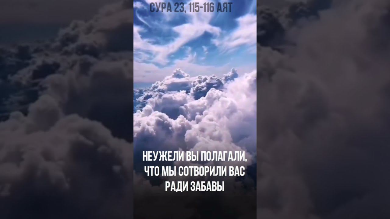 Разве вы были созданы ради забавы? смотреть онлайн