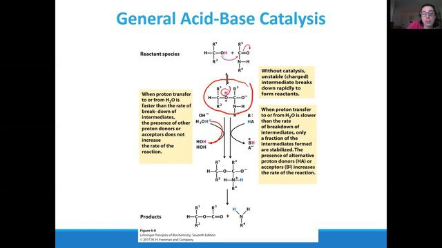 Biochemistry Lecture 6.3 смотреть онлайн