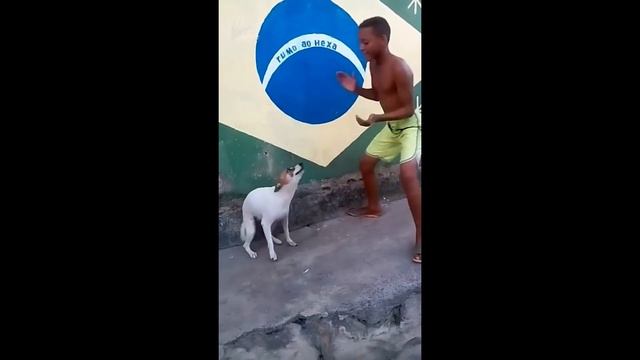 DJ Aligator - Doggystyle