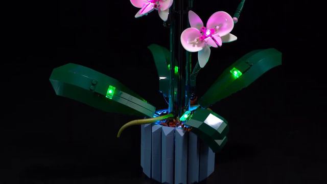 BriksMax Light Kit For Lego Orchid 10311 смотреть онлайн