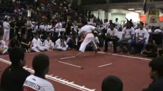 ARMANDO VERA MARTINEZ (KYODAI RYU)2011 KATA смотреть онлайн