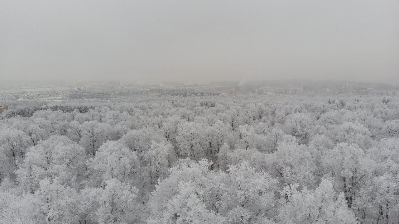 Тёмка и пушистая зима смотреть онлайн