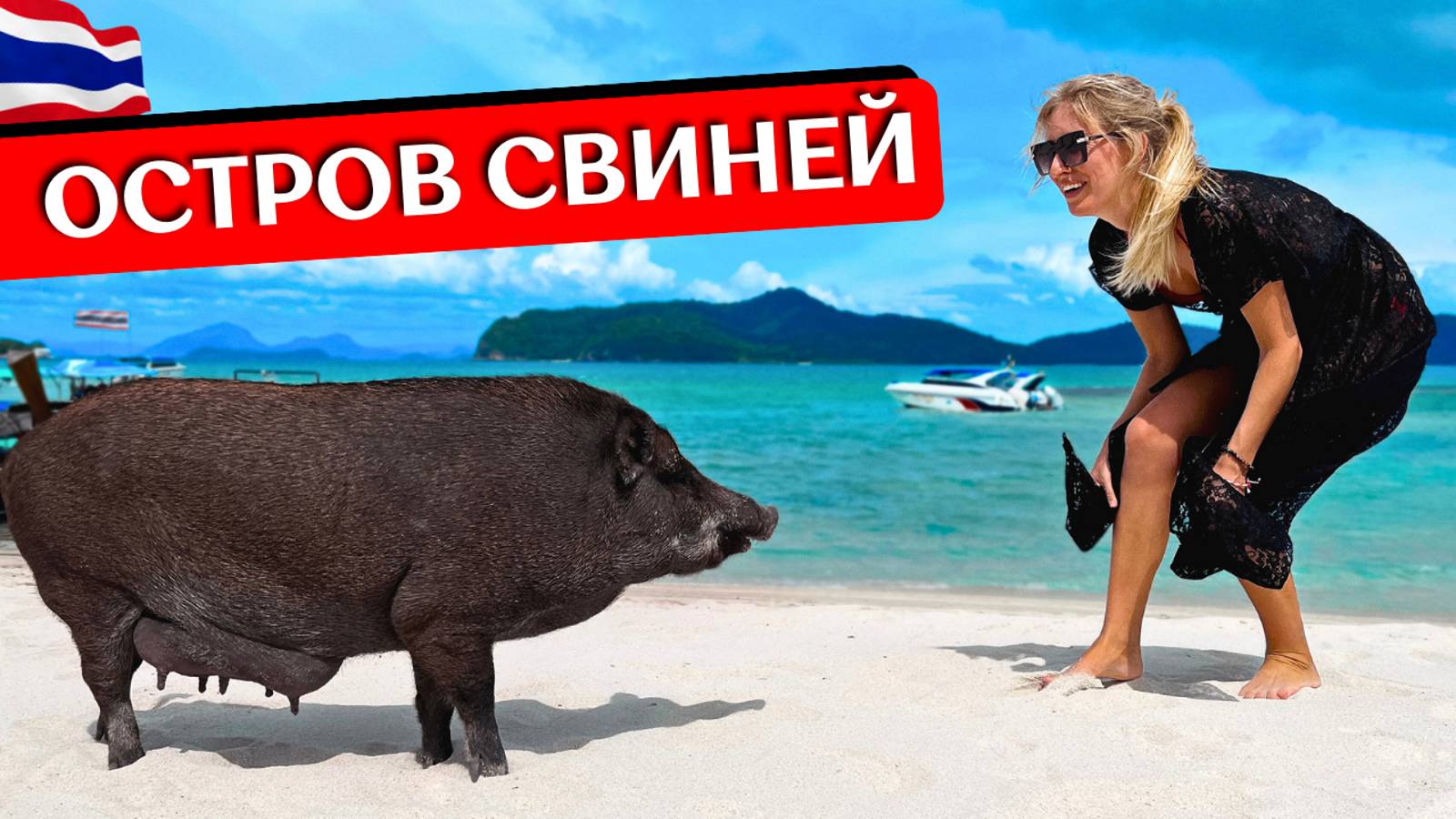 ОСТРОВ СВИНЕЙ в Таиланде, Самуи: Ко Мадсум и Ко Тан - свинки, снорклинг, морская экскурсия смотреть онлайн