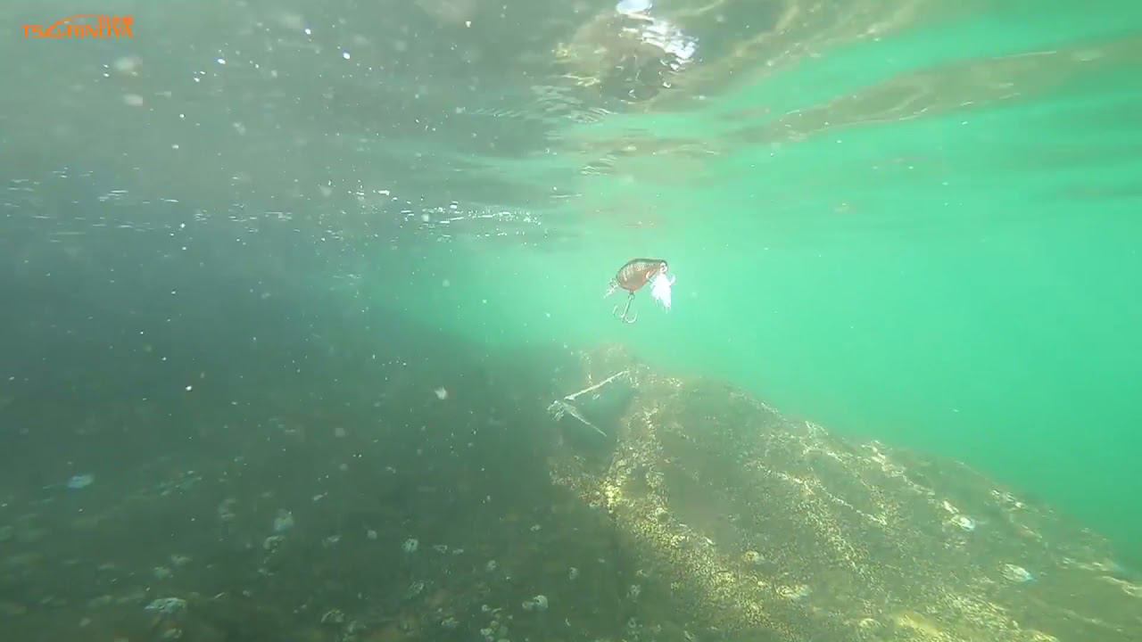 Копия воблера - Rapala X Rap Shad XRS08 - с Алиэкспресс