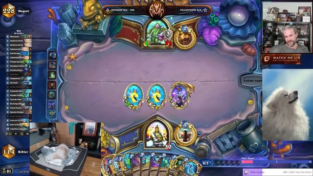 (Hearthstone) Melomania Shaman VS Raid Boss Druid смотреть онлайн