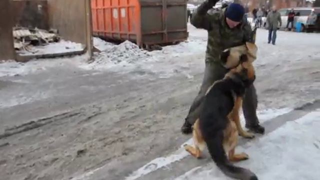 DSC 0219 Лобовая Церон смотреть онлайн