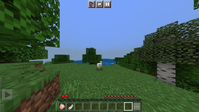 Morph Mod For Minecraft PE 1.20+ | Morph Mod For MCPE | Morph Plus Mod 🔥🔥 смотреть онлайн