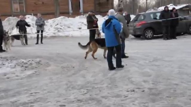 DSC 0214 Рядовость Верный Друг Церон смотреть онлайн