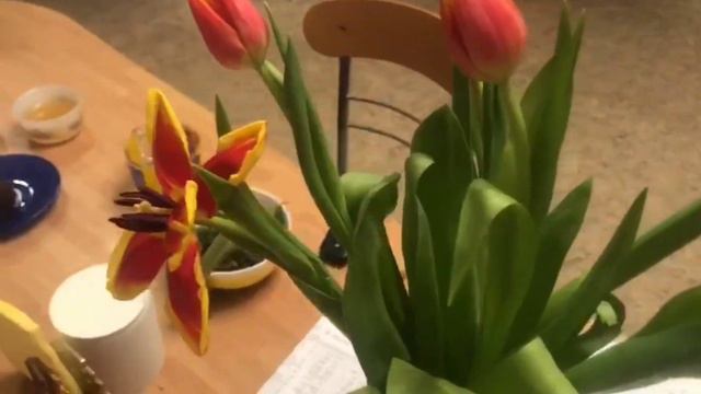 Тюльпанный Нюанс смотреть онлайн