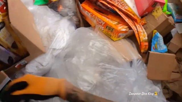 Dumpster Diving Jackpot !! Louis Vuitton, Cash and more !! смотреть онлайн