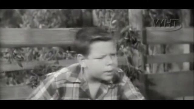 Lassie S01E20 Fawn, The