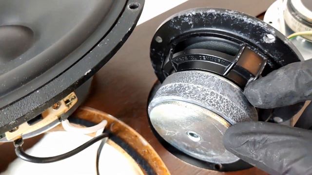 -Zerlegt- T+A Stratos P20 Lautsprecher