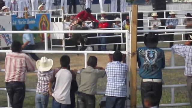 Toros La Nueva Ilucion en Alvaro Obregon смотреть онлайн