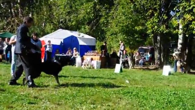DSC 0030 Тестирование смотреть онлайн