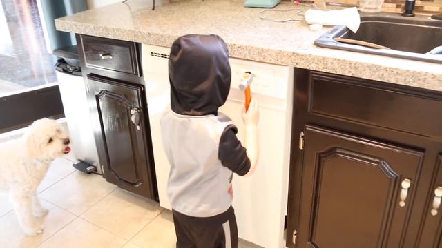 ❁ Spring Clean With Me ❁ How To Clean Major Appliances