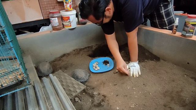 SUKADUKA PELIHARA KURAKURA смотреть онлайн