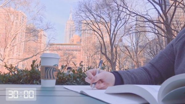 1-HOUR STUDY WITH ME in New York | study with sunset, no music, real sounds 🌥️🌫️