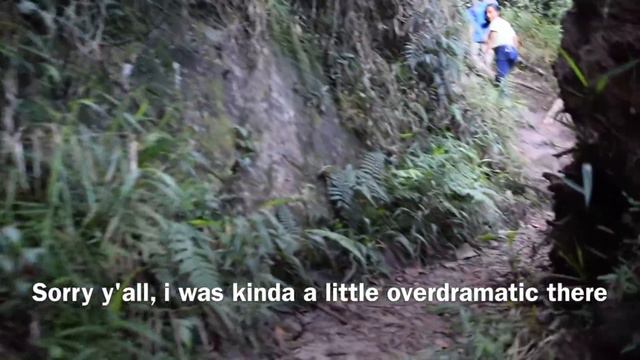 SPRAINED MY KNEE WHILE HIKING смотреть онлайн
