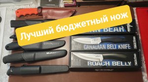 Лучший бюджетный нож.  Roach Belly и Canadian belt knife от Cold Steel.