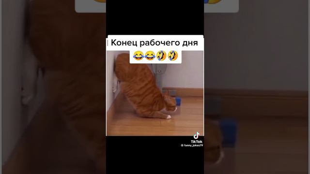 конец рабочего дня смотреть онлайн