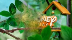 Disney Channel Russia. Adv. ident #6 [ver. 3] (Spring 2020)