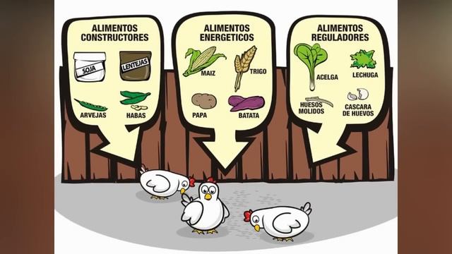 7 Consejos Importantes para Cuidar Gallinas Guineas o Coquenas смотреть онлайн
