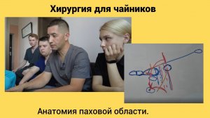Хирургия для чайников. Анатомия паховой области.