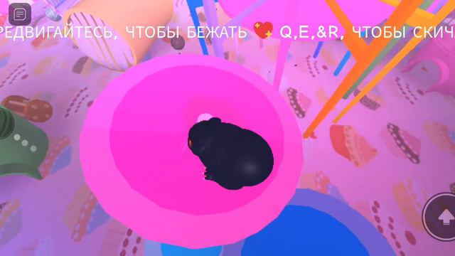 играю в хамичков