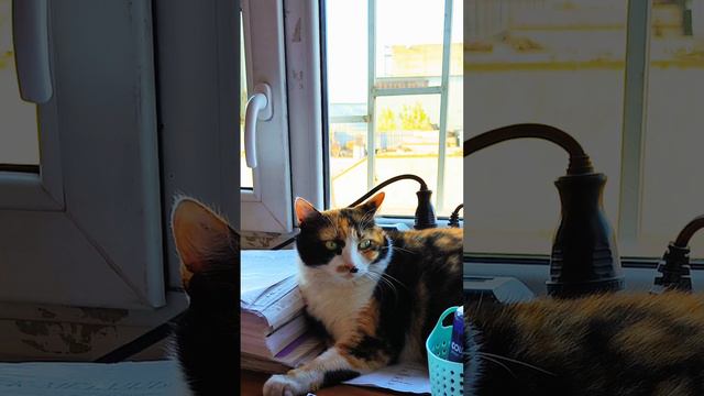 повысь зарплату