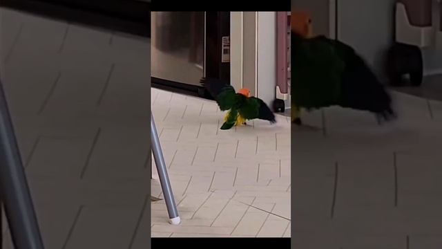 Успешный побег смотреть онлайн