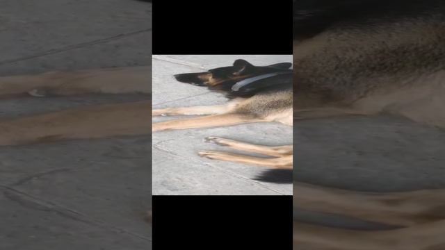 Дома идиллия. смотреть онлайн