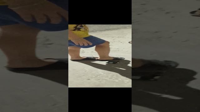 лопем соки