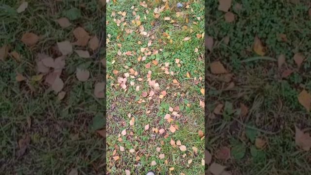 Все дороги ведут...